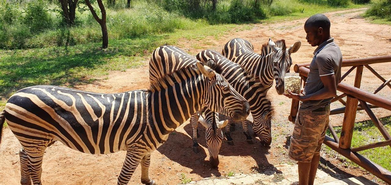 Giraffe Plains Villa Marloth Park Eksteriør bilde