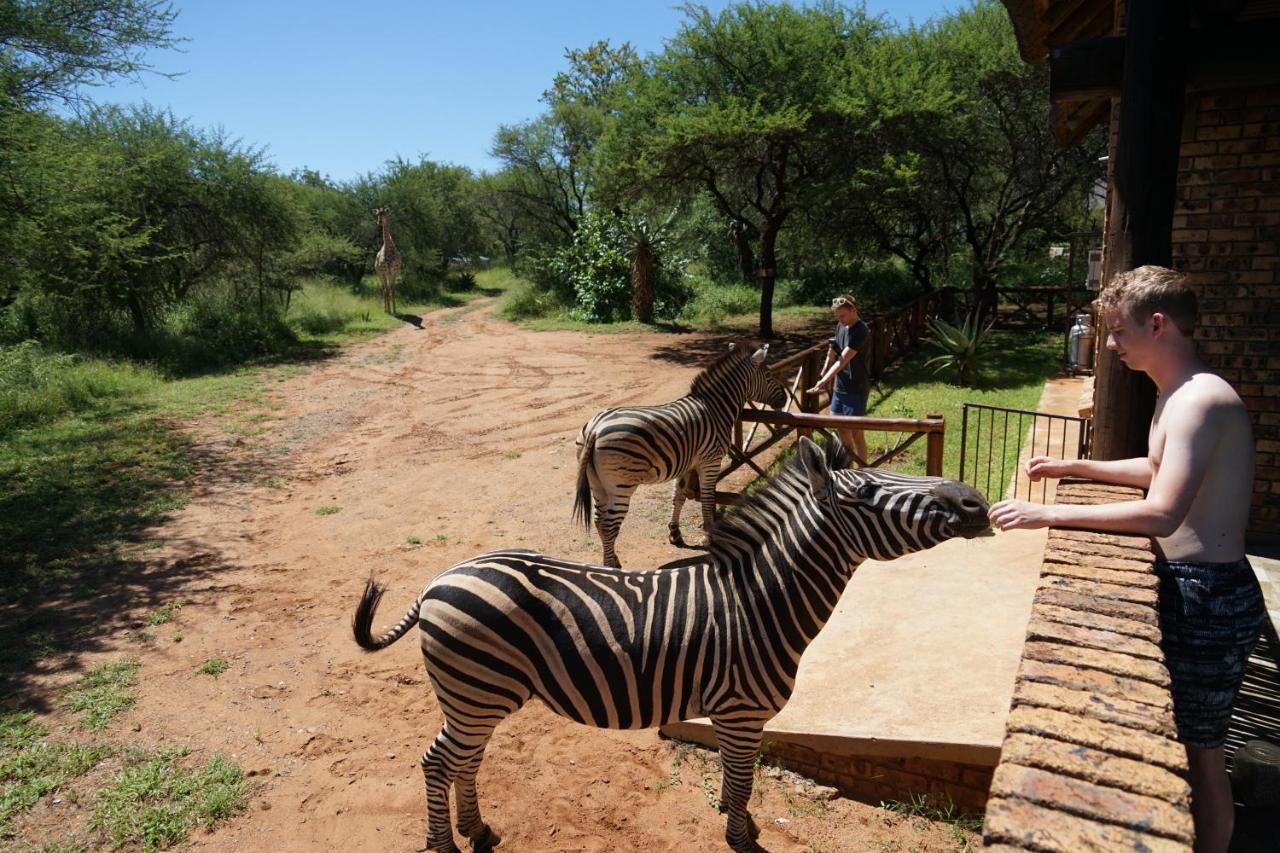 Giraffe Plains Villa Marloth Park Eksteriør bilde