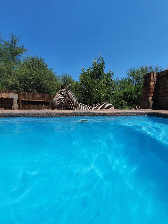 Giraffe Plains Villa Marloth Park Eksteriør bilde