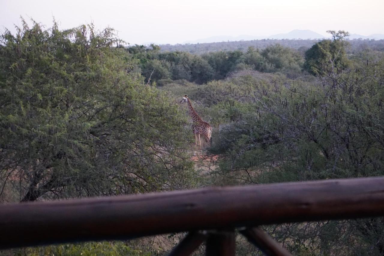 Giraffe Plains Villa Marloth Park Eksteriør bilde