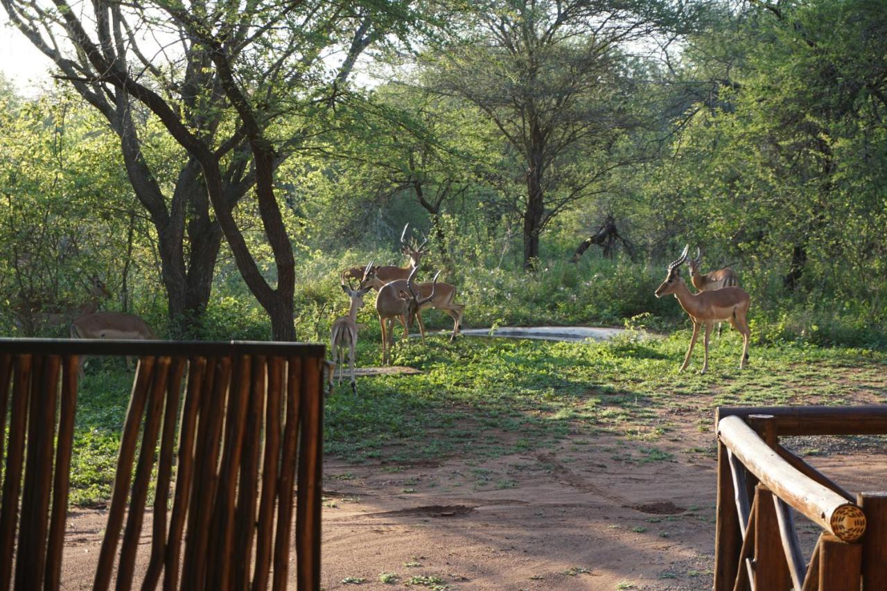 Giraffe Plains Villa Marloth Park Eksteriør bilde