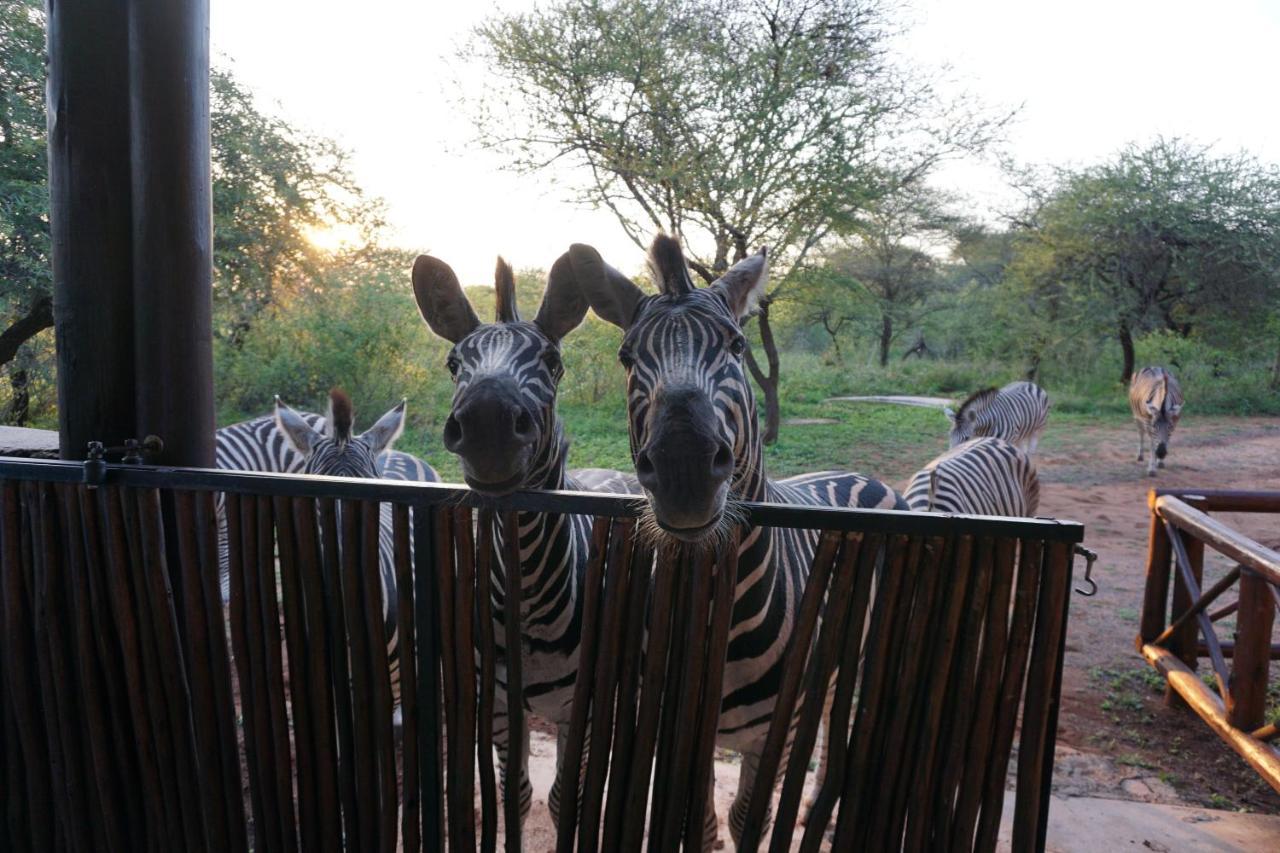 Giraffe Plains Villa Marloth Park Eksteriør bilde