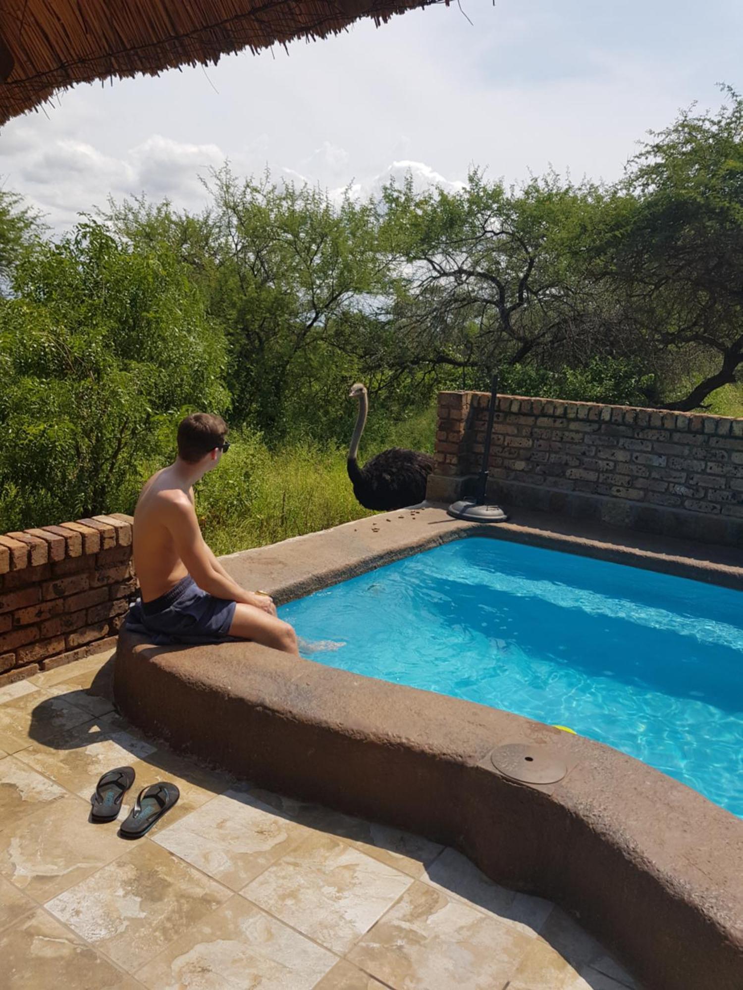 Giraffe Plains Villa Marloth Park Eksteriør bilde